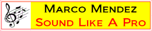 Sound Like A Pro Logo